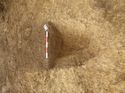 Thumbnail of [19806] NW facing sec curvi. term, looking SE