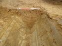 Thumbnail of [19704] SW facing section ditch, looking NE