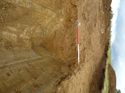 Thumbnail of [19704] SW facing section ditch, looking NE