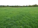 Thumbnail of Post excavation field shots