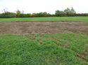 Thumbnail of Post excavation field shots