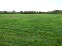 Thumbnail of Post excavation field shots