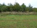 Thumbnail of Post excavation field shots