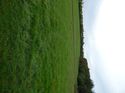 Thumbnail of Post excavation field shots