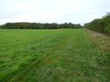 Thumbnail of Post excavation field shots