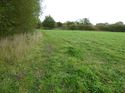 Thumbnail of Post excavation field shots
