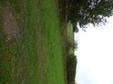 Thumbnail of Post excavation field shots