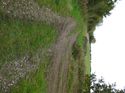 Thumbnail of Post excavation field shots