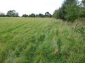 Thumbnail of Post excavation field shots