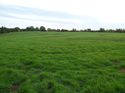 Thumbnail of Post excavation field shots