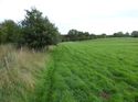 Thumbnail of Post excavation field shots