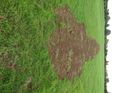 Thumbnail of Post excavation field shots