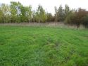 Thumbnail of Post excavation field shots