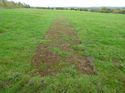 Thumbnail of Post excavation field shots
