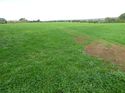 Thumbnail of Post excavation field shots