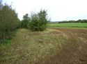 Thumbnail of Post excavation field shots