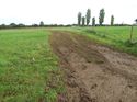 Thumbnail of Post excavation field shots