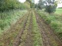 Thumbnail of Post excavation field shots