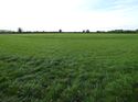 Thumbnail of Post excavation field shots