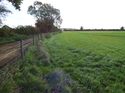 Thumbnail of Post excavation field shots