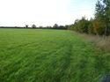 Thumbnail of Post excavation field shots
