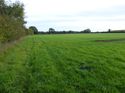 Thumbnail of Post excavation field shots