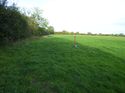 Thumbnail of Post excavation field shots