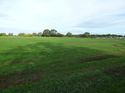 Thumbnail of Post excavation field shots