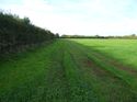 Thumbnail of Post excavation field shots