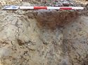 Thumbnail of Linear (potential gully), W facing section, trench 109, looking E