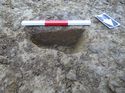 Thumbnail of Post hole, NE facing section, trench 446, looking SW
