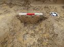 Thumbnail of Excavated feature section looking S