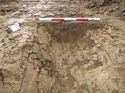 Thumbnail of NE facing section, looking SW
