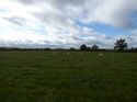 Thumbnail of Post exc field shots