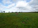 Thumbnail of Post exc field shots