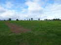 Thumbnail of Post exc field shots