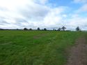 Thumbnail of Post exc field shots