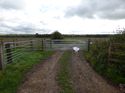 Thumbnail of Post exc field shots