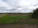 Thumbnail of Post exc field shots