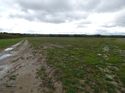 Thumbnail of Post exc field shots