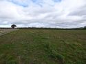 Thumbnail of Post exc field shots