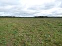 Thumbnail of Post exc field shots