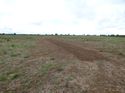 Thumbnail of Post exc field shots