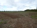 Thumbnail of Post exc field shots