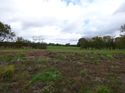 Thumbnail of Post exc field shots