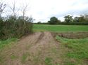 Thumbnail of Post exc field shots
