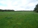 Thumbnail of Post exc field shots