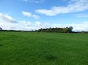 Thumbnail of Post exc field shots
