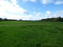 Thumbnail of Post exc field shots