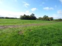 Thumbnail of Post exc field shots